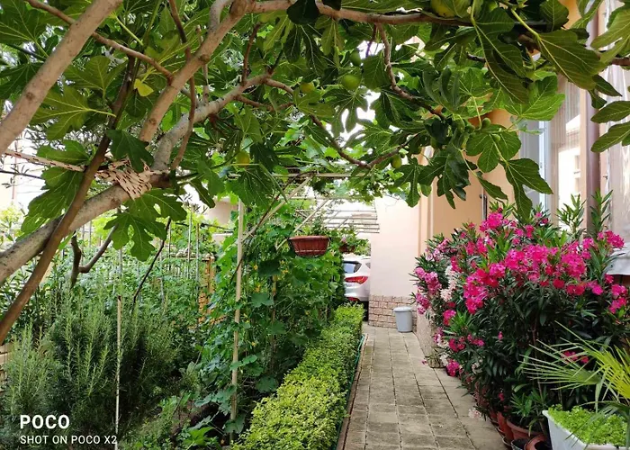 доли Apartamento